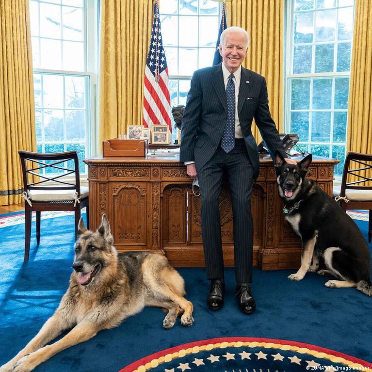 Remembering Champ: A Beloved Companion to the Biden Family