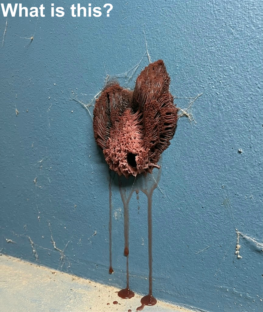 Mysterious Drips on the Garage Wall? Here’s How to Figure It Out