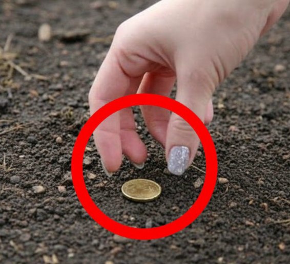 Why Finding a Coin Can Feel More Meaningful Than You Might Expect