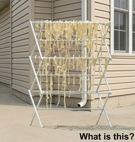 The Backyard Mystery That Turned Into an Unexpected Lesson About Everyday Life