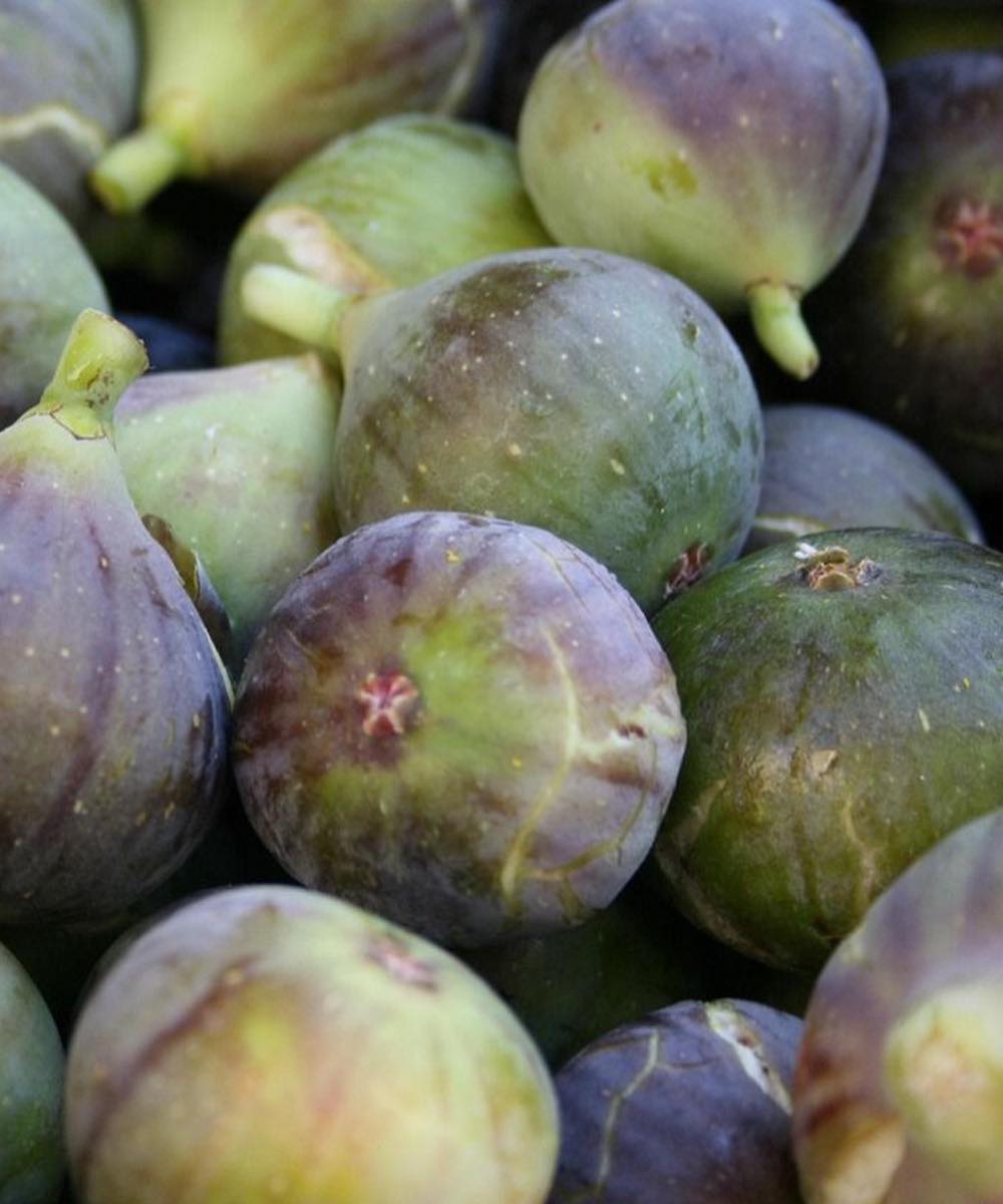 Can Figs Support Joint and Back Wellness? What to Know About Natural Habits for Everyday Comfort