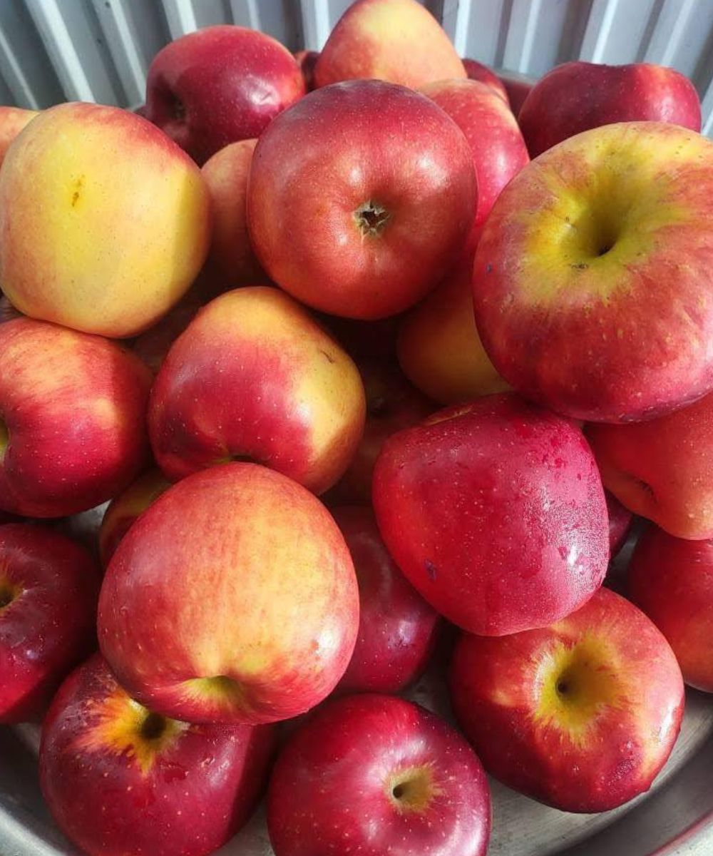 Why an Evening Apple Can Be a Simple Upgrade to Your Nighttime Routine