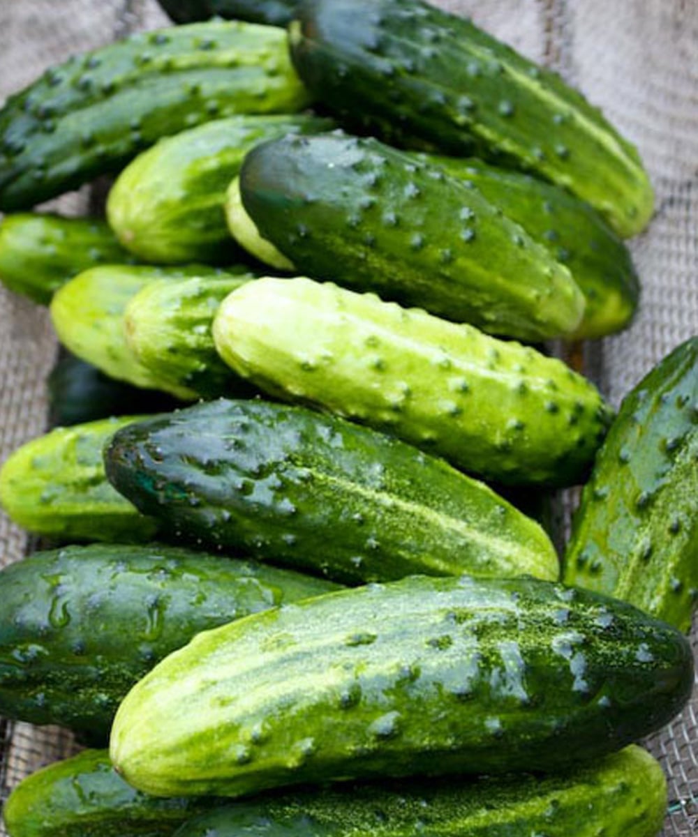 Why Doctors Recommend Adding Cucumber to Your Daily Diet
