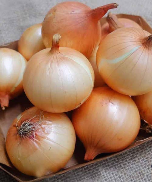 How Onions Support Everyday Health in Simple, Effective Ways