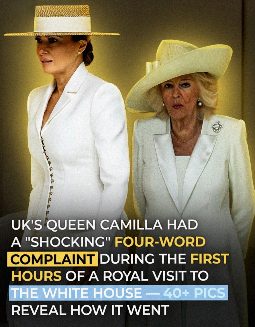 Small Moments During Royal State Visit Spark Widespread Online Conversation
