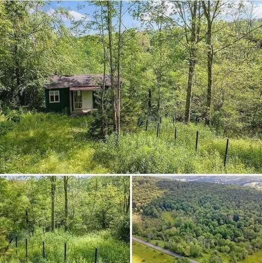 How to Create a Peaceful Nature Retreat on 1.5 Acres
