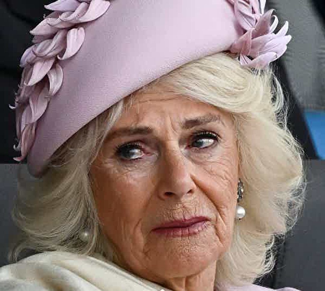 Queen Camilla: From Public Scrutiny to Royal Acceptance