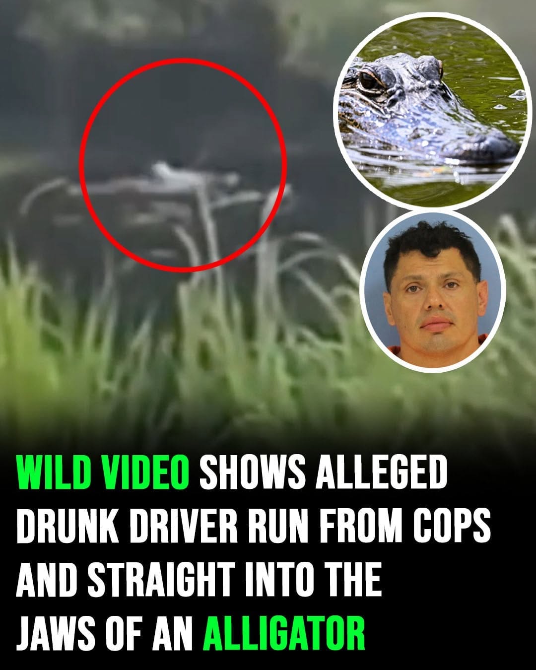 Suspect’s Attempt to Flee Police Takes Unexpected Turn in Louisiana Swamp