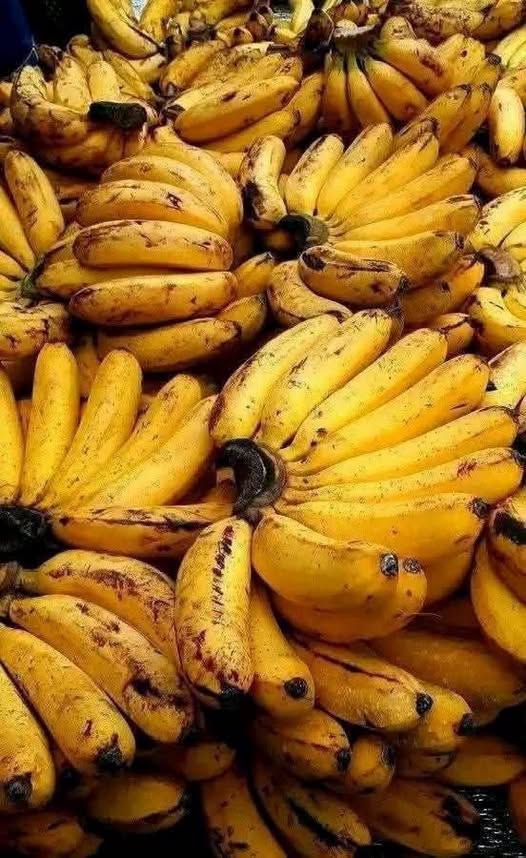 Why Making Bananas Part of Your Daily Routine Can Support a Healthier Lifestyle