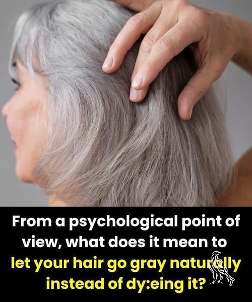The Silver Hair Movement: Why More People Are Embracing Their Natural Gray