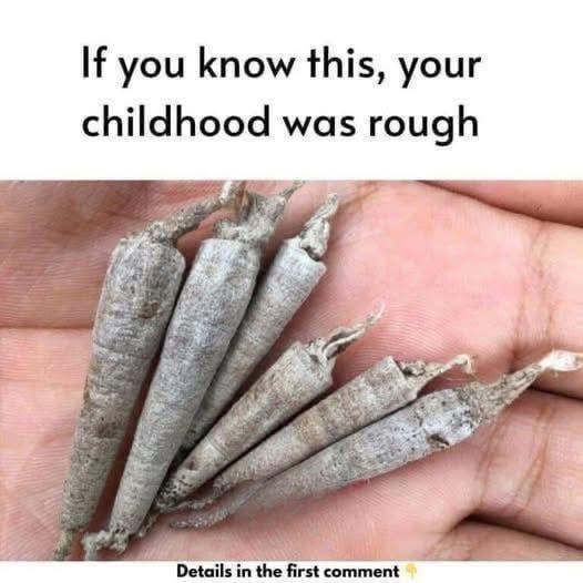 The Simple Childhood Lessons That Still Matter Today
