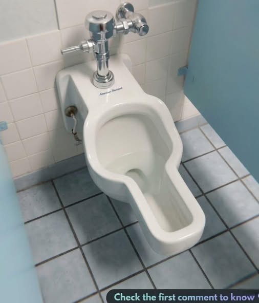Rethinking Public Restrooms: How Innovative Design Could Improve Accessibility and Efficiency