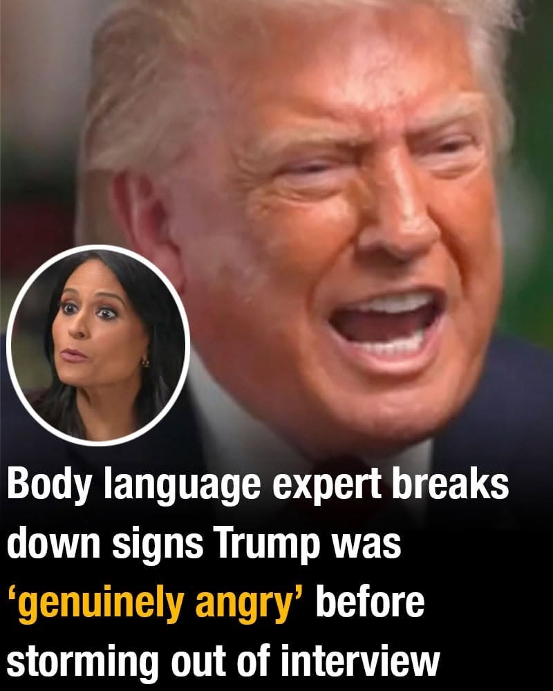 Body Language Expert Analyzes Trump’s Tense Exchange During Television Interview