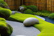 23 Tranquil Elements to Enhance Your Zen Garden Experience