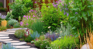 24 Creative Ideas for Stunning Front Yard Landscaping