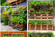 24 Innovative Pallet Garden Designs to Transform Your Space