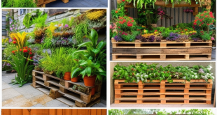 24 Innovative Pallet Garden Designs to Transform Your Space