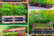 24 Innovative Pallet Garden Ideas for Every Green Thumb