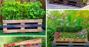 24 Innovative Pallet Garden Ideas for Every Green Thumb