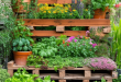 24 Inspiring Ideas for Creative Pallet Garden Designs