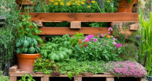 24 Inspiring Ideas for Creative Pallet Garden Designs