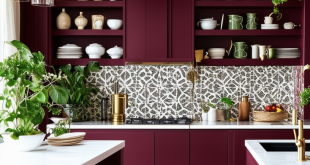 24 Inspiring Ideas to Elevate Your Burgundy Kitchen Design