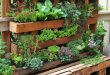 24 Inspiring Pallet Garden Design Ideas for Your Green Space