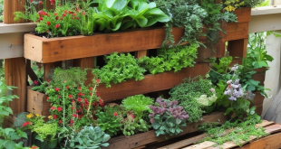 24 Inspiring Pallet Garden Design Ideas for Your Green Space