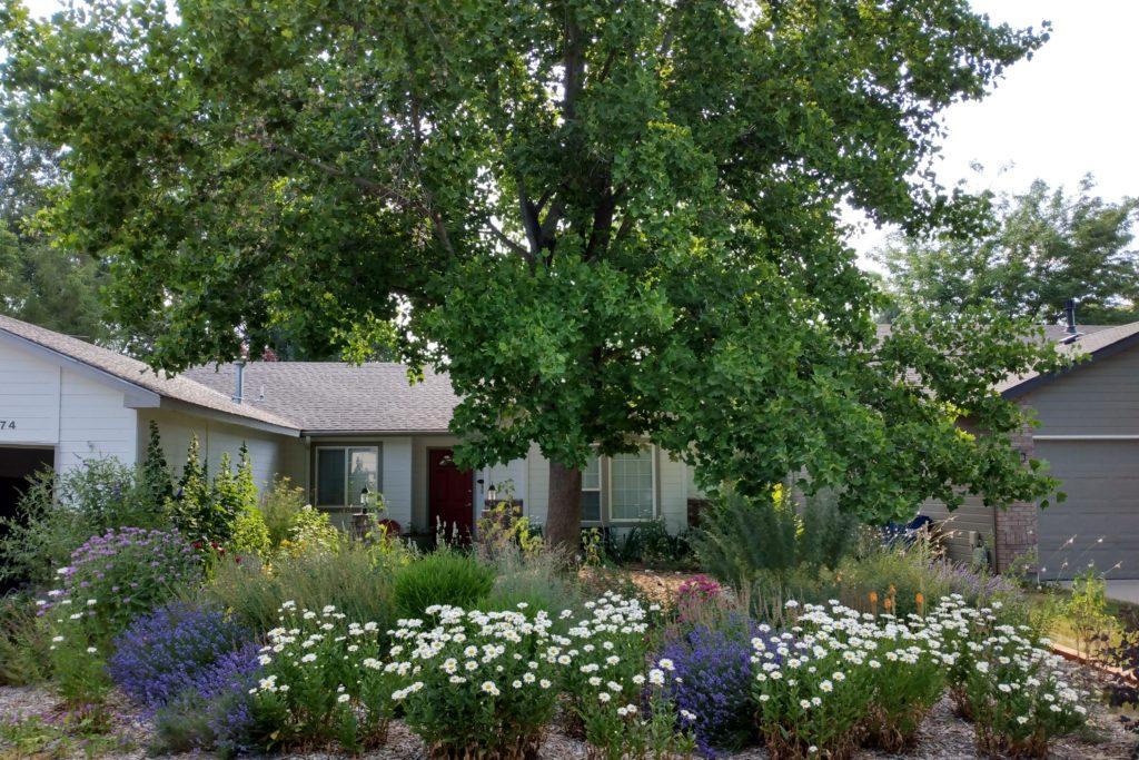 Incorporate native plants for low-maintenance and sustainable ⁤<a href=