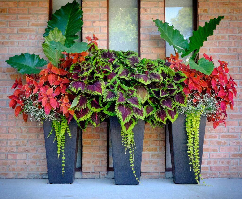 Add greenery with unique planters for a fresh eclectic touch