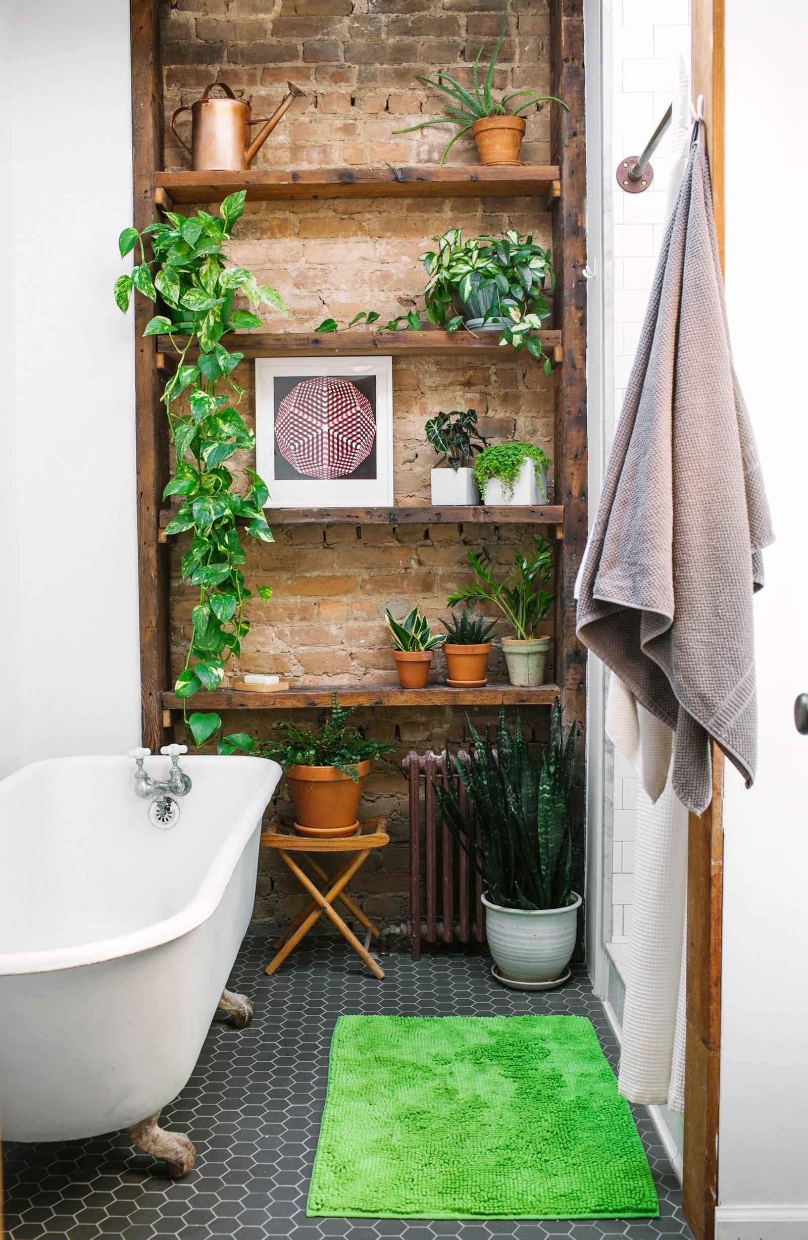 Decorate with plants to bring life into your ⁢small bathroom