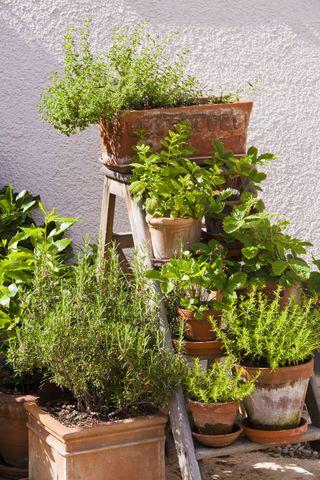 Add a small herb garden on⁤ the window sill ⁤of your galley kitchen