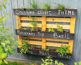 Use a pallet garden to create an artistic mural of plant ⁢varieties