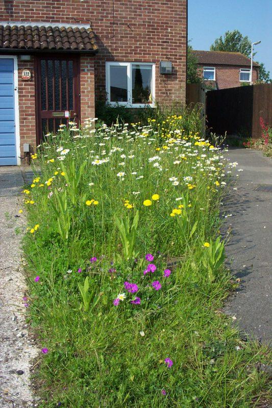 Form a wildflower meadow⁢ for a natural look in your front yard landscaping