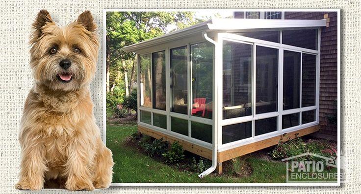 Create​ a pet-friendly space for your furry friends on⁤ the screened porch