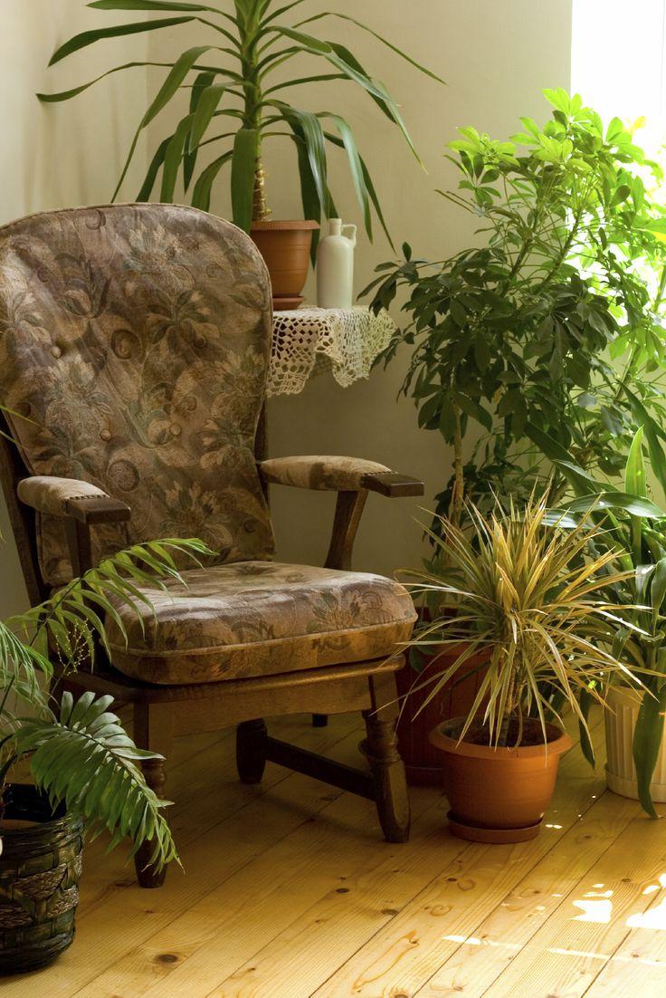 Incorporate indoor plants to breathe life into your living ⁣room ​space