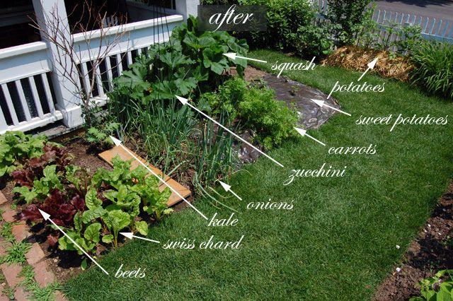 Consider a small vegetable patch for an edible twist in your front yard landscaping