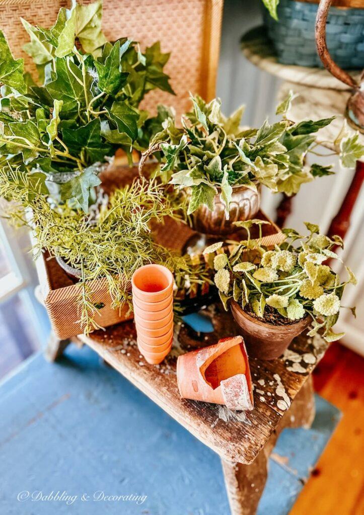 Fresh plants to bring life into your ⁢Nursery Nook