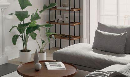 Add indoor plants for fresh​ air and life ⁢in your minimalist bedroom