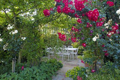 Frame pathways with fragrant herbs to engage the senses in front yard landscaping