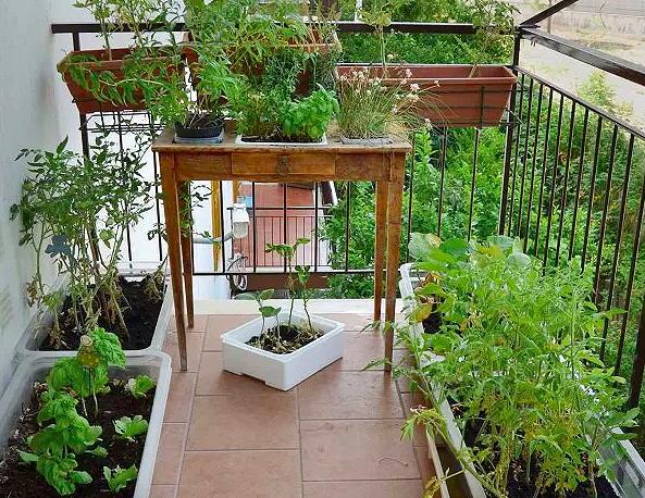 Turn your balcony into an oasis with a compact Pallet Garden!