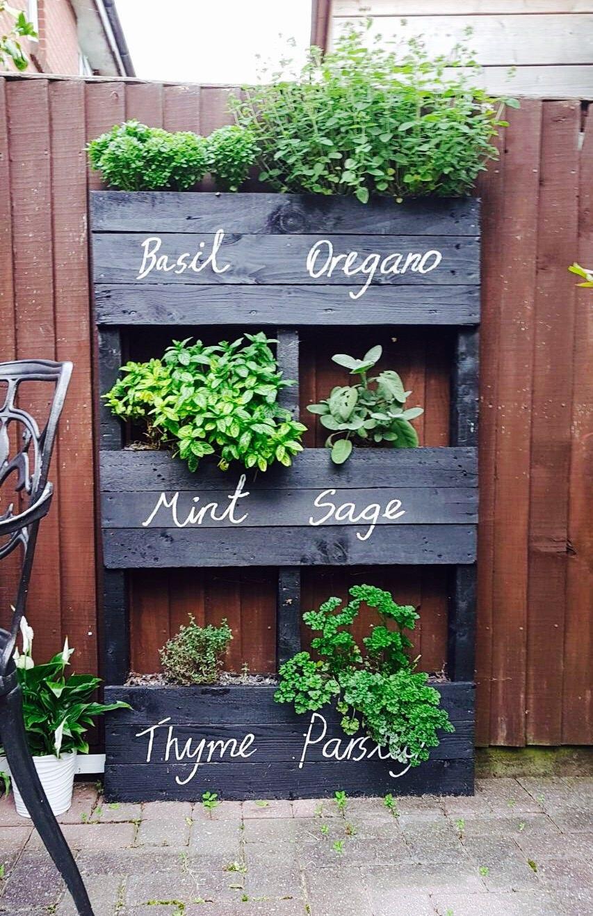 Design a seasonal display with a Pallet Garden that showcases changing flowers