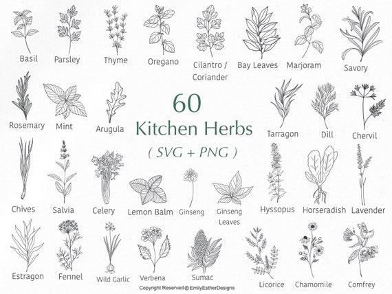 Hang herb bundles for ⁣a fragrant, rustic touch in your‌ Farmhouse Kitchen