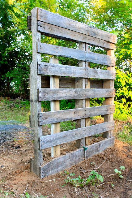 Pallet Garden With Trellis: Combine gardening ⁣and structure by​ adding a trellis for climbing plants