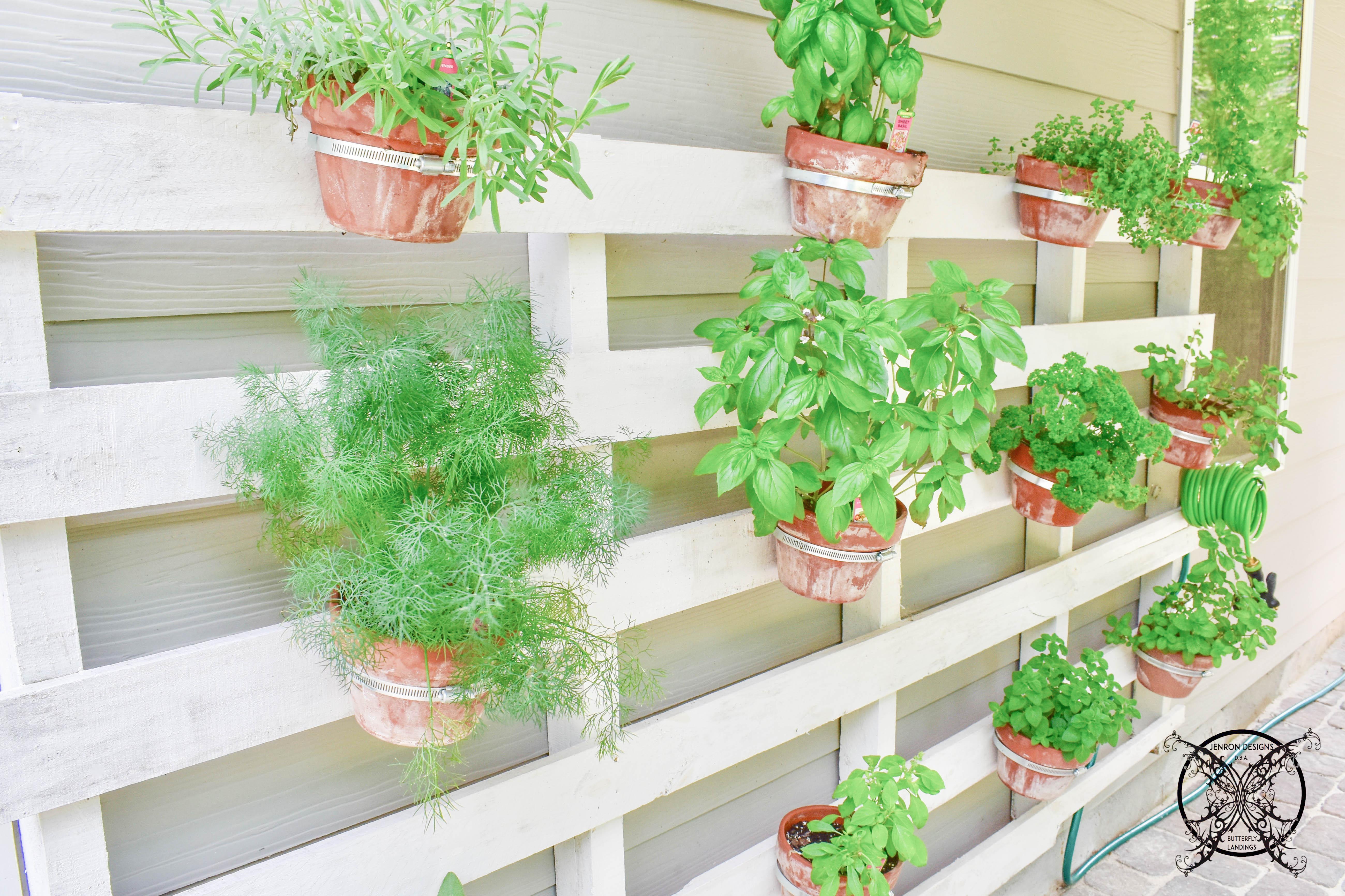 Venture into companion planting with a diversified Pallet Garden layout