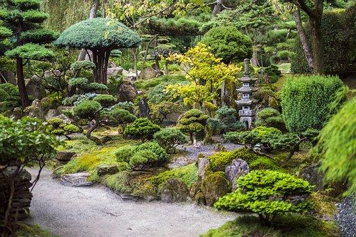 Integrate moss for a lush, green touch that enhances your Zen Gardens serenity