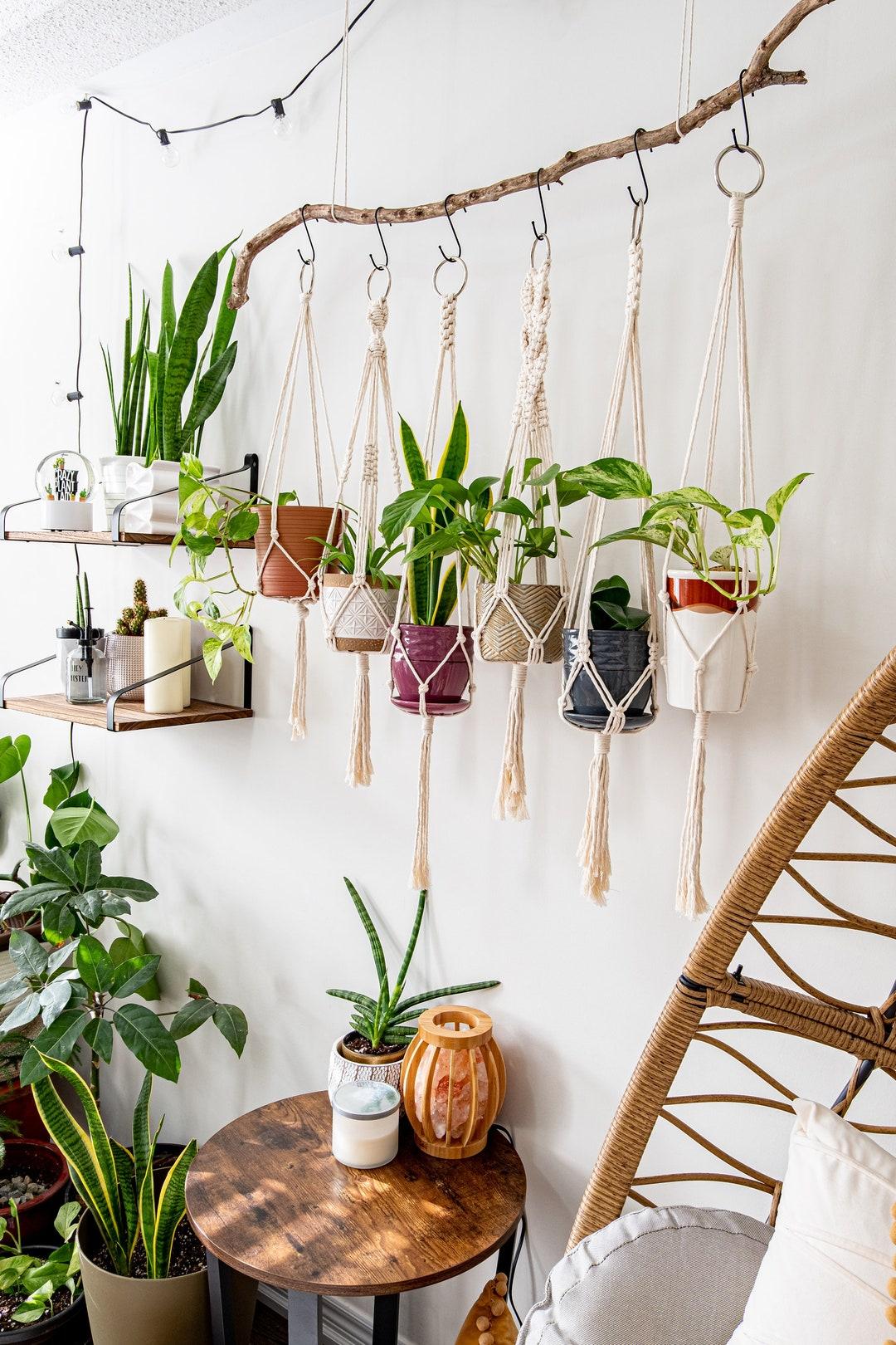 Hang macrame plant hangers to add ‍dimension ⁣to your earthy living room