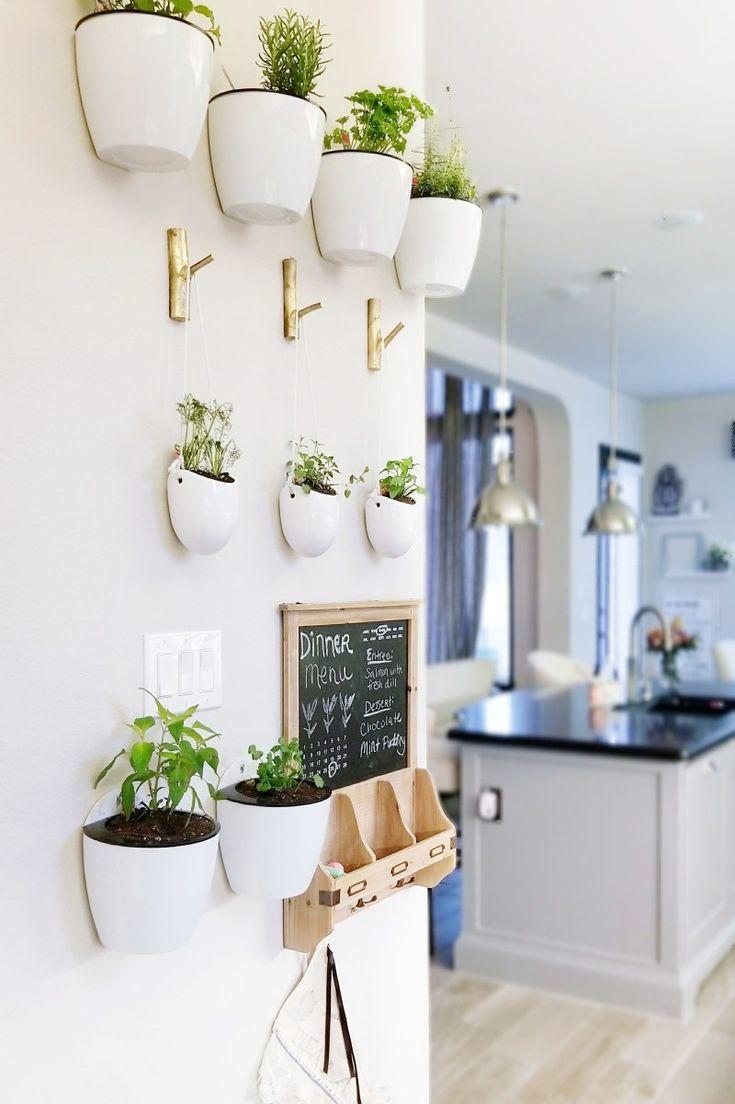 Add greenery with indoor plants to bring life to your kitchen decor