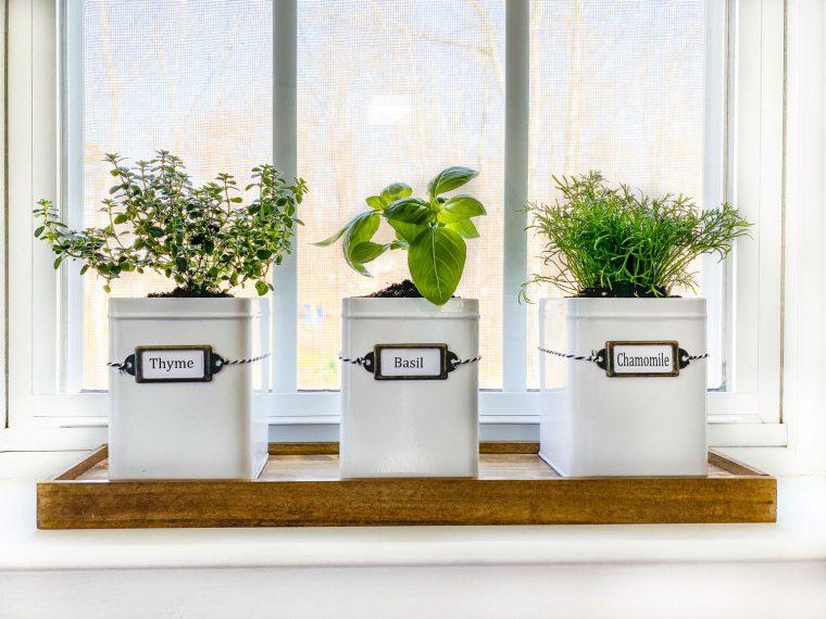 Fresh herbs make an inviting addition to your Farmhouse Kitchen window sill