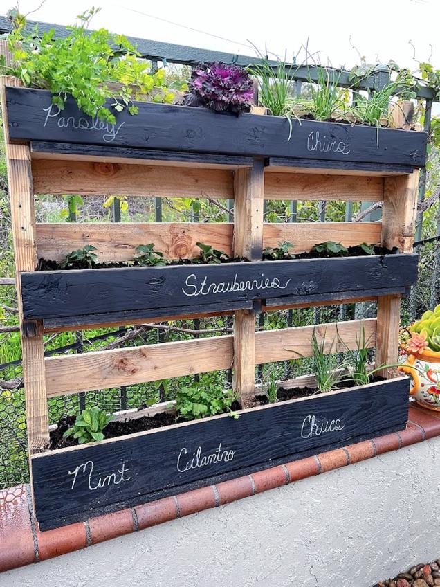 Create a pallet garden herb wall to conveniently access fresh herbs for cooking